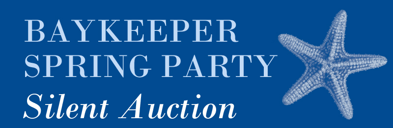 SilentAuction