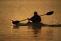 kayak